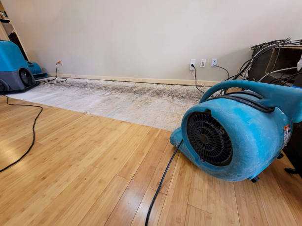 Reliable Basement Flood Cleanup contractor in Cedar Crest, NM by Hirex Water Damage
