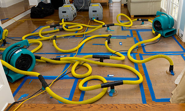 Professional Basement Flood Cleanup technician working in Cedar Crest, NM